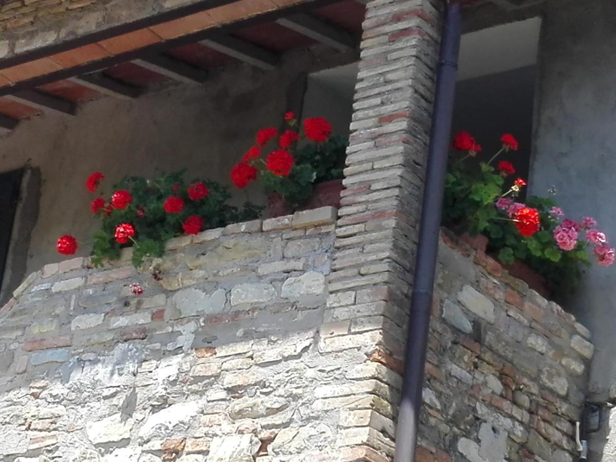 Fattoria Di Rigone Villa Coltavolino Exterior photo