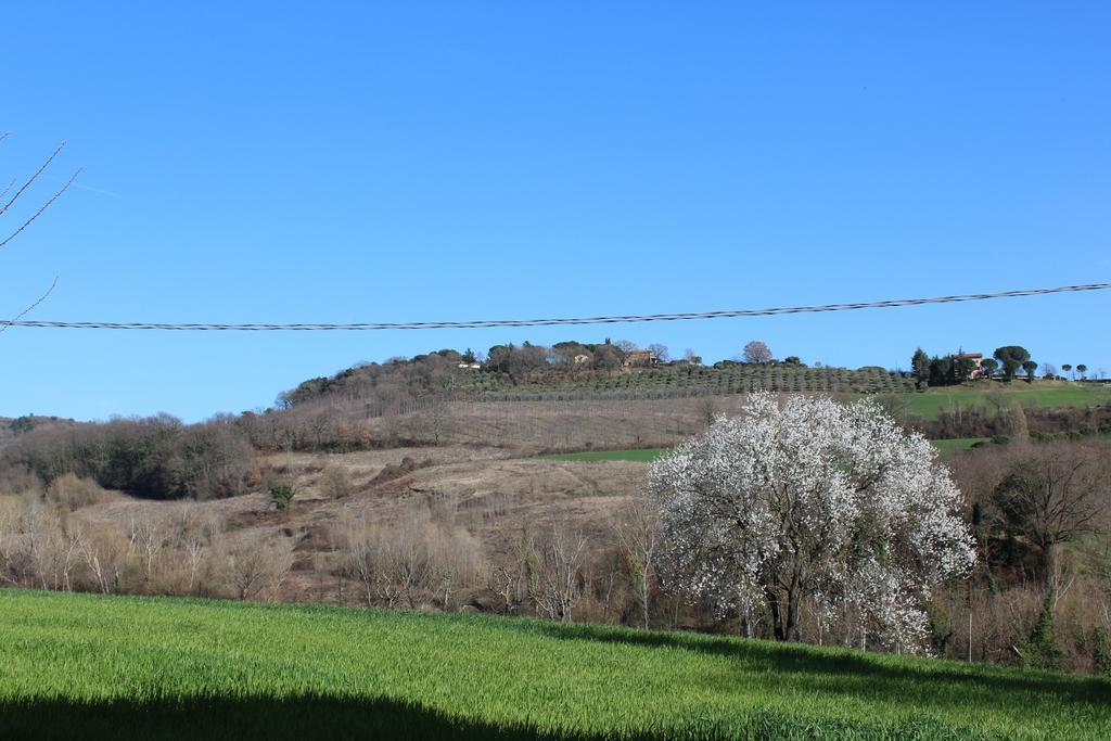 Fattoria Di Rigone Villa Coltavolino Exterior photo